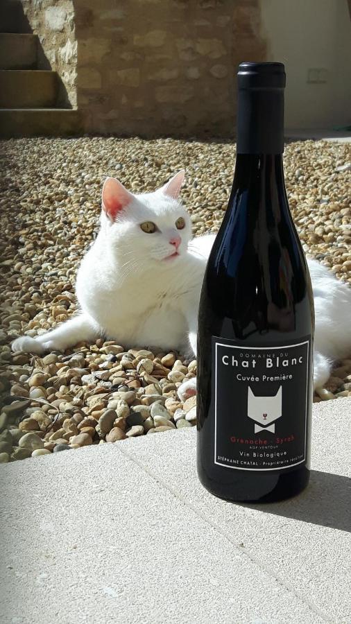 Le Cottage Du Chat Blanc Saint Didier  Exterior photo