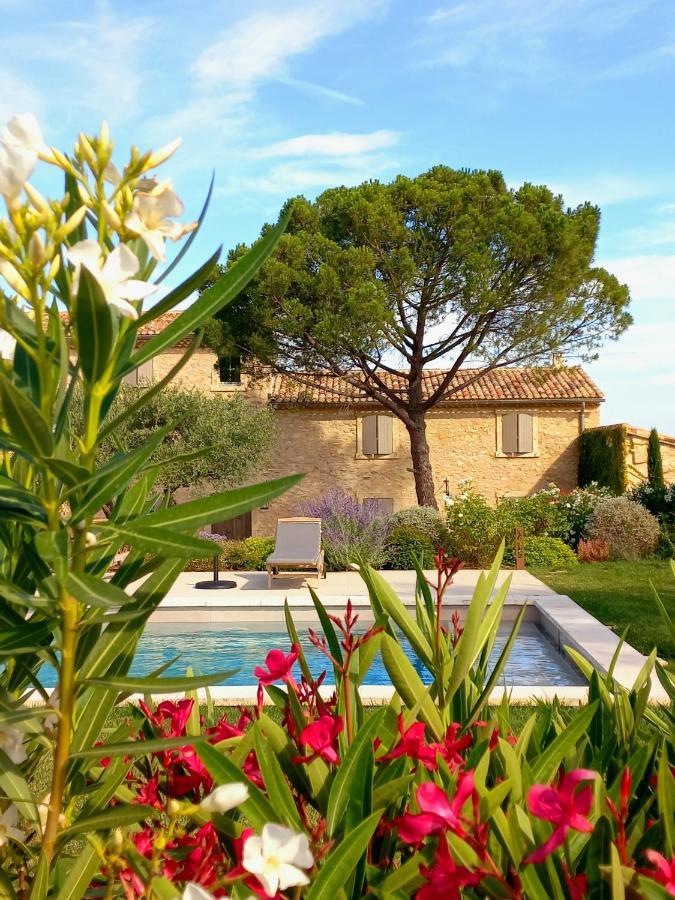 Le Cottage Du Chat Blanc Saint Didier  Exterior photo